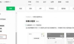 最新看点爆料小程序下载,揭秘小程序下载背后的秘密与趋势