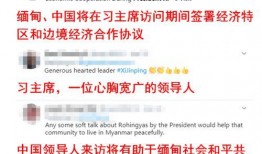 缅甸媒体爆料视频,揭秘背后惊人真相