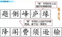娱乐吃瓜四字成语大全及解释,揭秘娱乐吃瓜界的四字成语奥秘