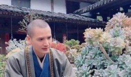 花草和尚在线观看,探寻禅意生活之美