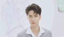 吃瓜娱乐圈王一博是谁,娱乐圈的璀璨新星