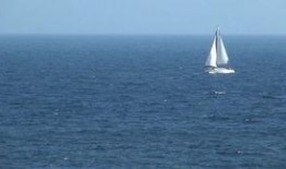 海洋最新爆料视频下载免费,最新海洋爆料视频带你探索未知世界