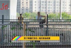 跨越栅栏在线观看,一场跨越时空的视觉盛宴