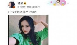 吃瓜娱乐八卦的视频下载