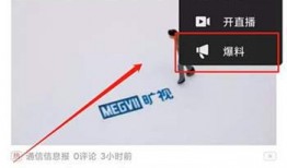 爆料视频如何扩散,爆料视频如何迅速走红网络