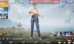 吃鸡超前爆料最新,揭秘全新玩法与神秘武器