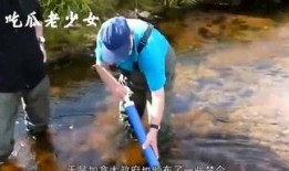 娱乐吃瓜老少女,老少皆宜的吃瓜盛宴，揭秘明星幕后故事